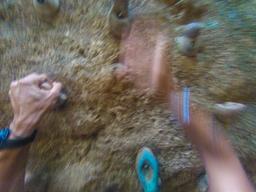 rock climbing white river canyon zip line rincon de la vieja