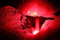 mucous eggs camaronal 4